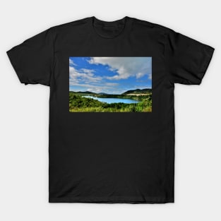 Lagon ile de Busuanga Conception, Philippines T-Shirt